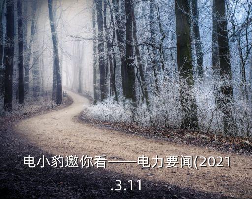 中國南方電網越南項目,南方電網對越南的影響