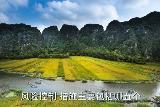  風(fēng)險(xiǎn)控制 措施主要包括哪五個