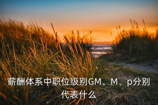 薪酬體系中職位級別GM、M、p分別代表什么