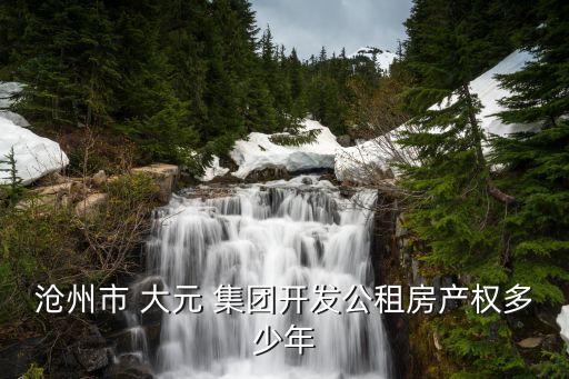 滄州市 大元 集團開發(fā)公租房產權多少年